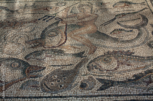Photos Luni - Mosaico dedicato a Poseidone