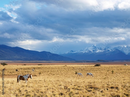 Patagonie argentine photo