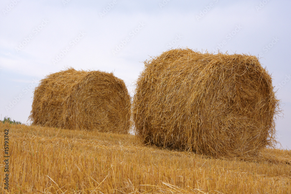 Sheaves of hay against a background of the sky