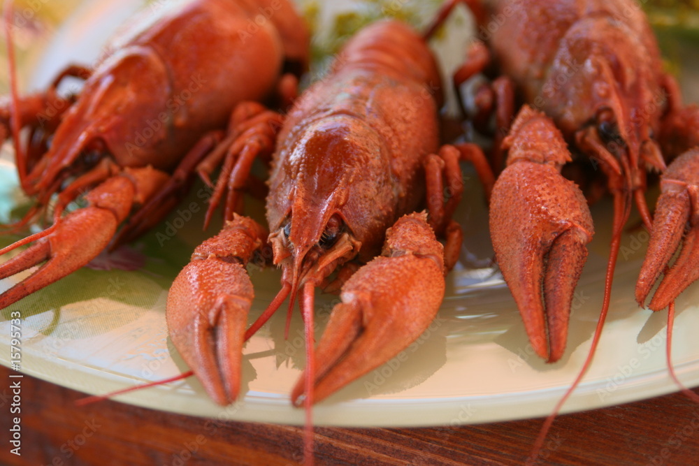 crawfishes