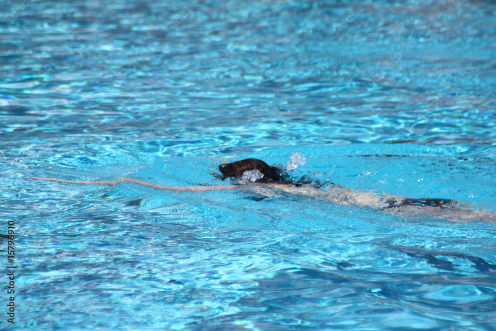 Fototapeta premium Schwimmen
