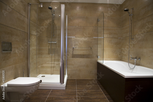 Designer Bathroom