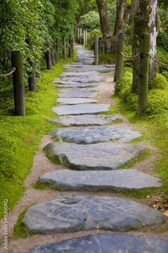 Lonely stone path