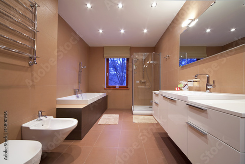 Designer bathroom