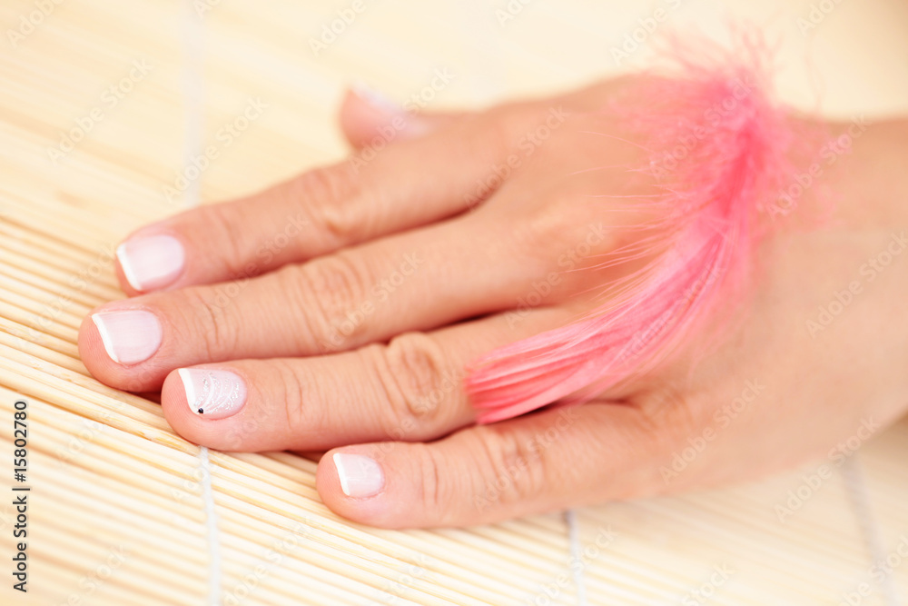 Naklejka premium as a feather