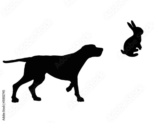 Jagdhund trifft auf Hasen