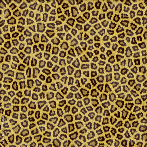 sfondo leopardo