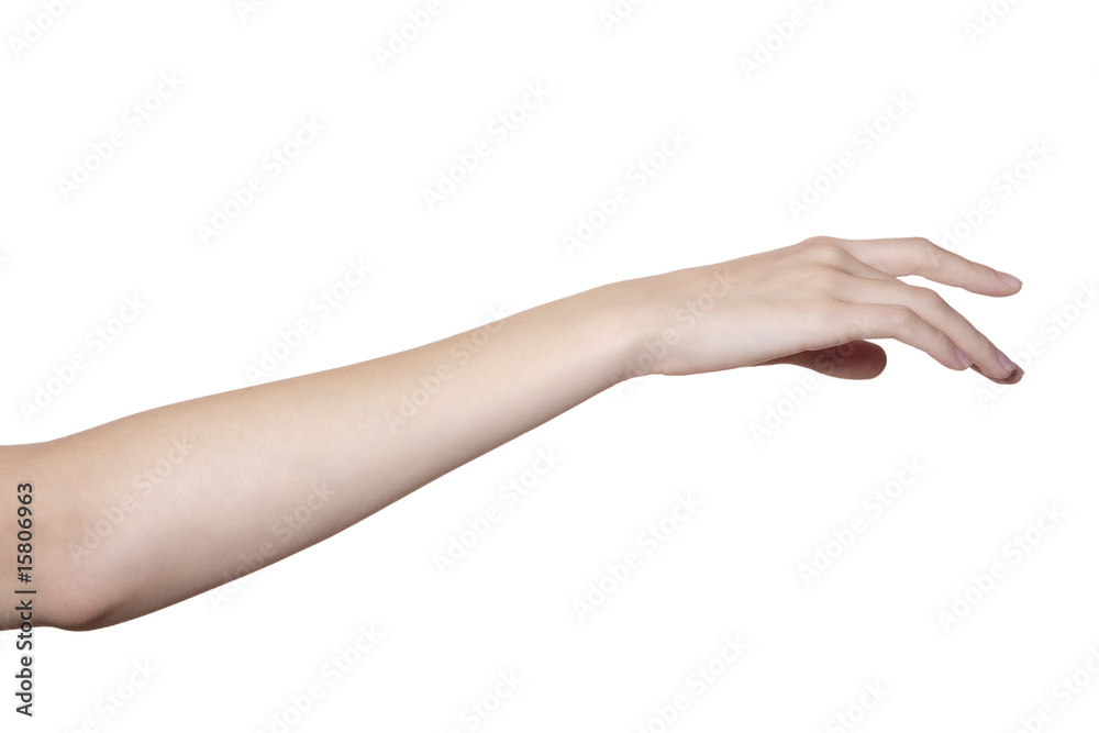 hand and arm isolated on white