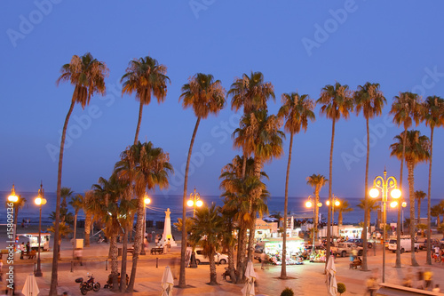 Palm Tree Beach of Larnaca at Dusk photo