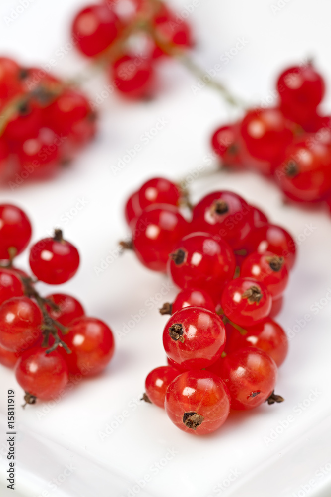 rote Johannisbeeren auf weißem Hintergrund rote Johannisbeeren auf weißem Hintergrund