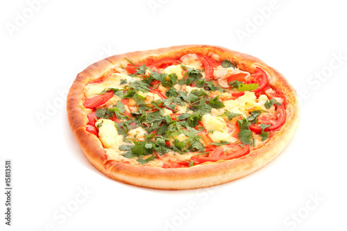 Tasty Italian pizza on white