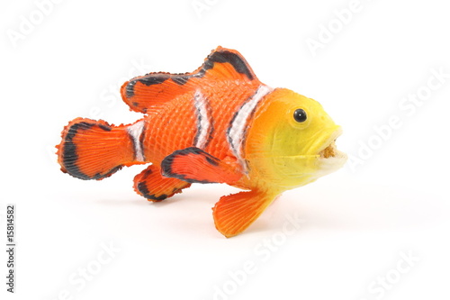 Toy Clown Fish