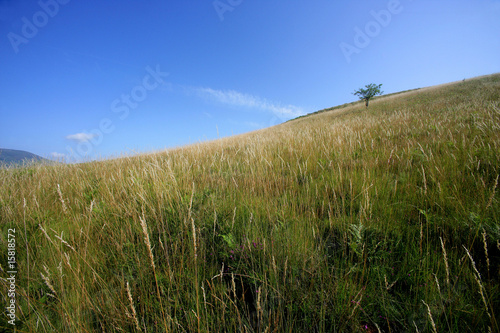 paysage de campagne