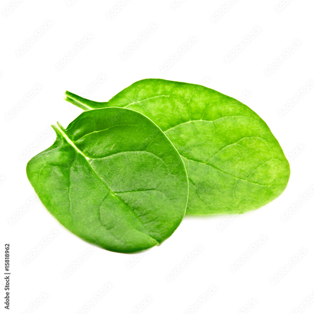 Obraz premium spinach