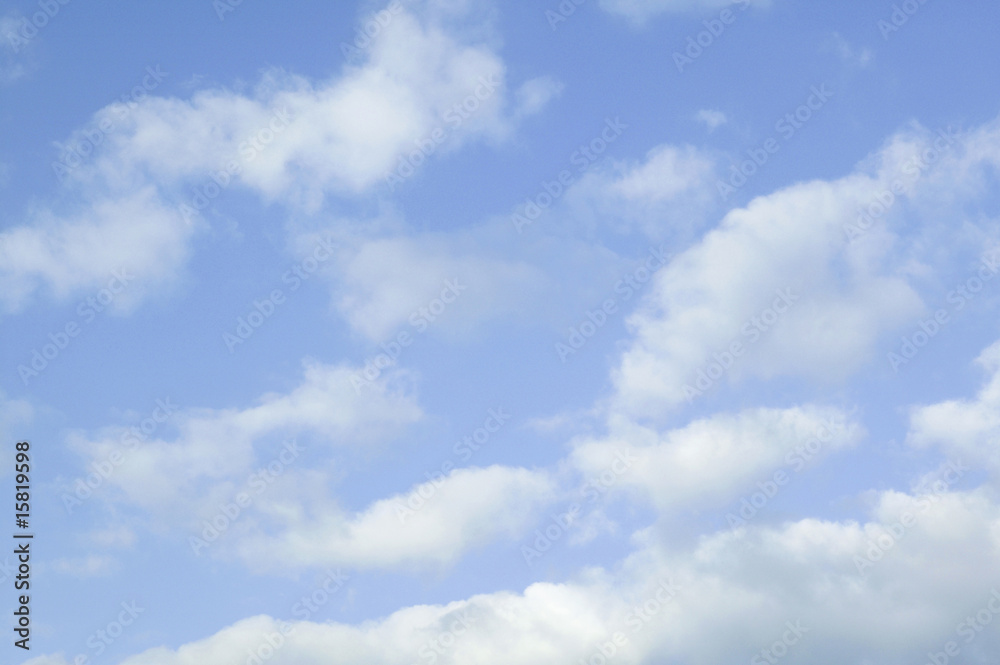 Fototapeta premium 青空
