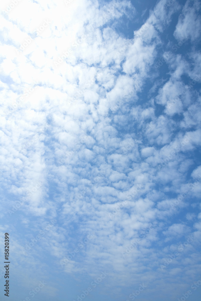 Obraz premium 青空