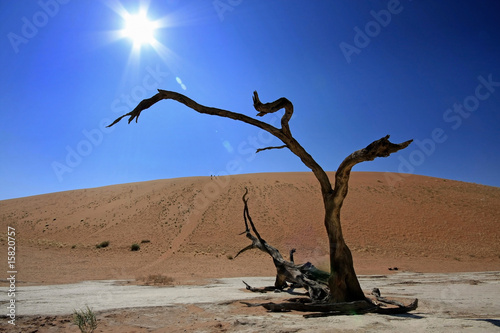 Death Vley Namib