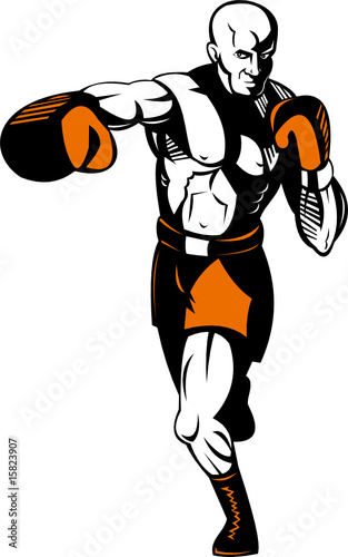Boxer punching