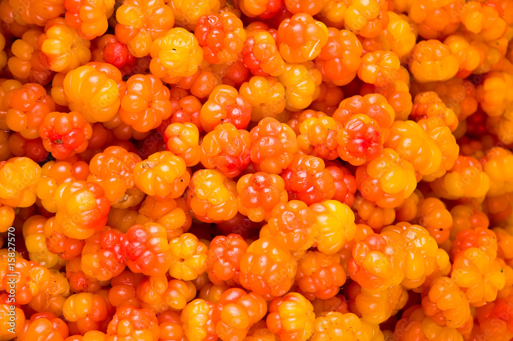 Naklejka premium Cloudberry