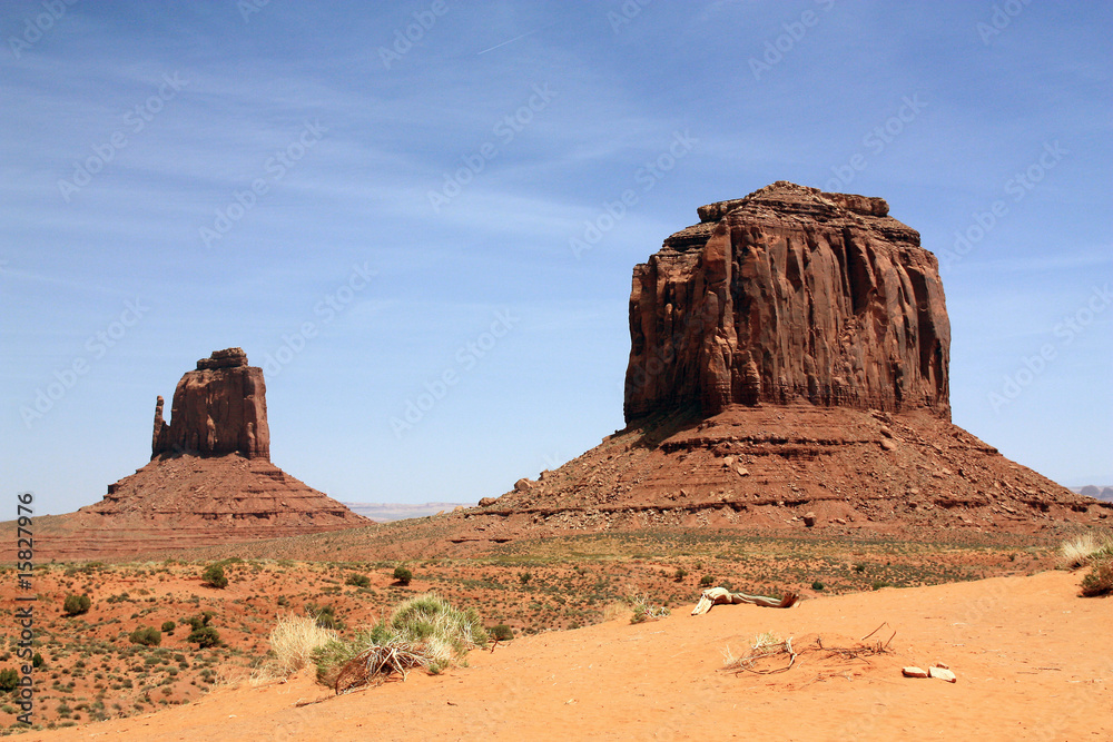 Fototapeta premium Monument Valley 4