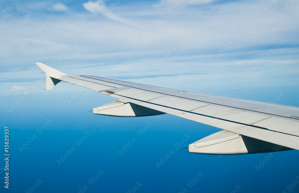 flight flight