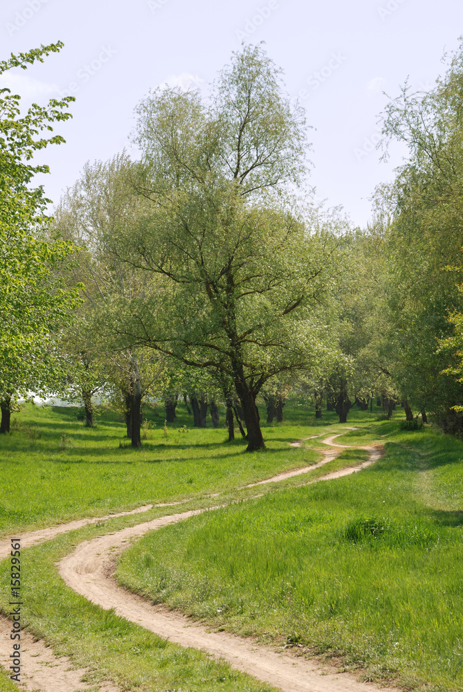 Summer landscape with wood road Summer landscape with wood road