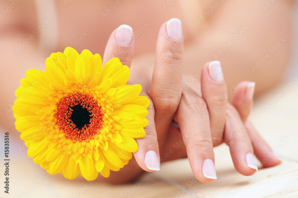 beautiful female hands beautiful female hands