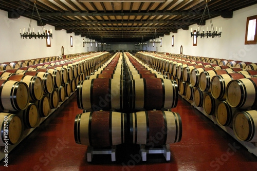 Принти на полотні Wine Barrels in Chateau