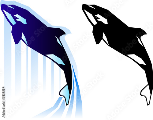Graphic killer whale illustration