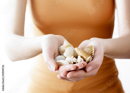 mains de femmes tenant des coquillages