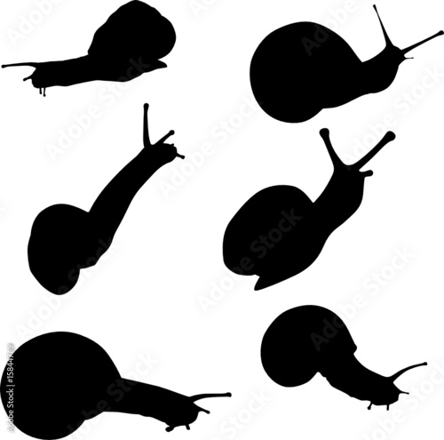 snail silhouettes collection
