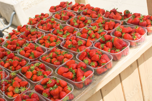 fresh strawberries photo