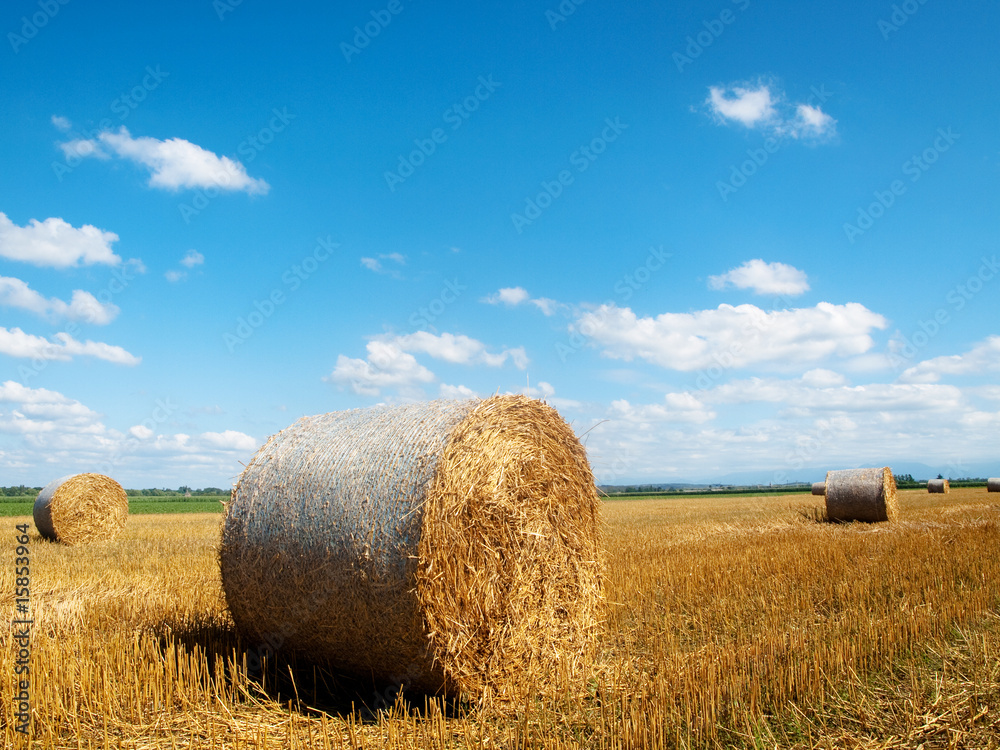 Countryside landscape with bales of hay