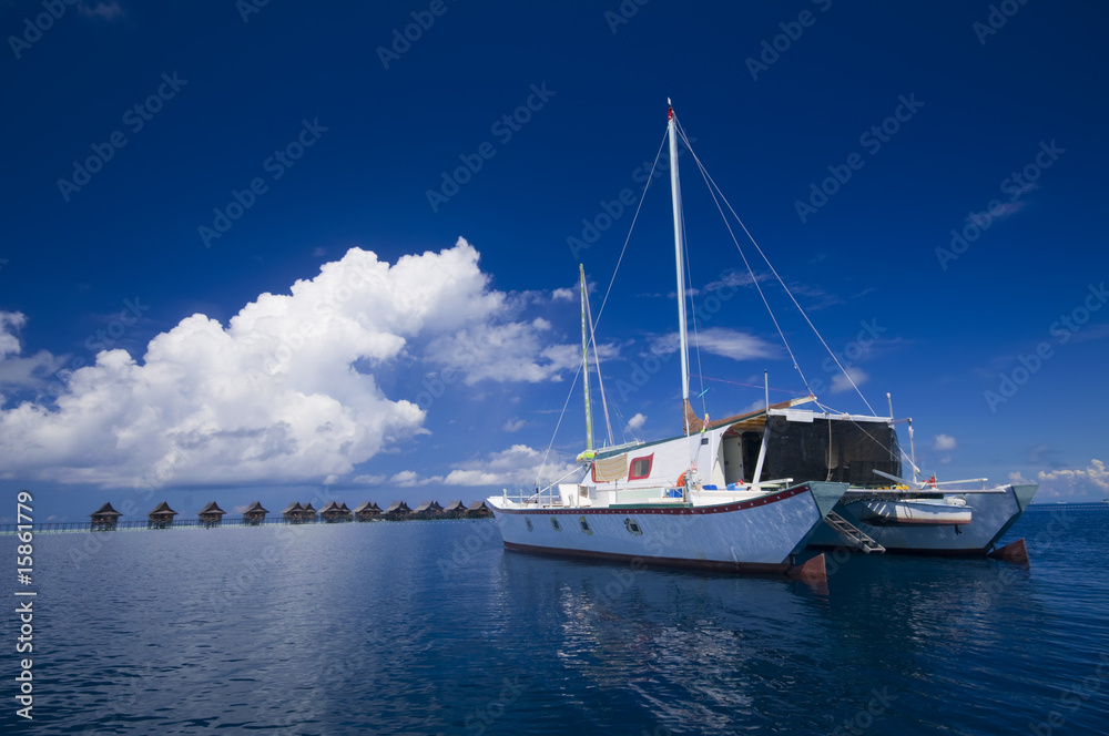 Catamaran docks by tropical island resort