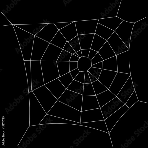 spiderweb white illustration