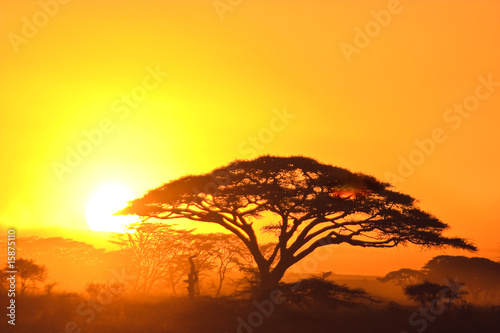 Fototapeta samoprzylepna Zachód słońca w Serengeti