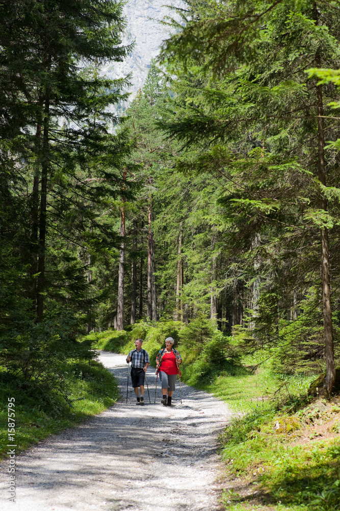 elderly couple hiking on path