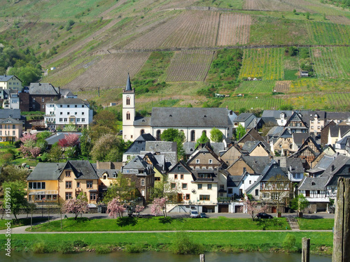 Reil an der Mosel