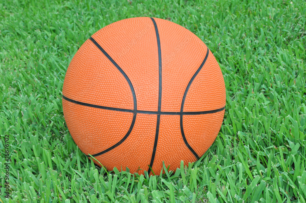 Orange basketball on green grass Orange basketball on green grass