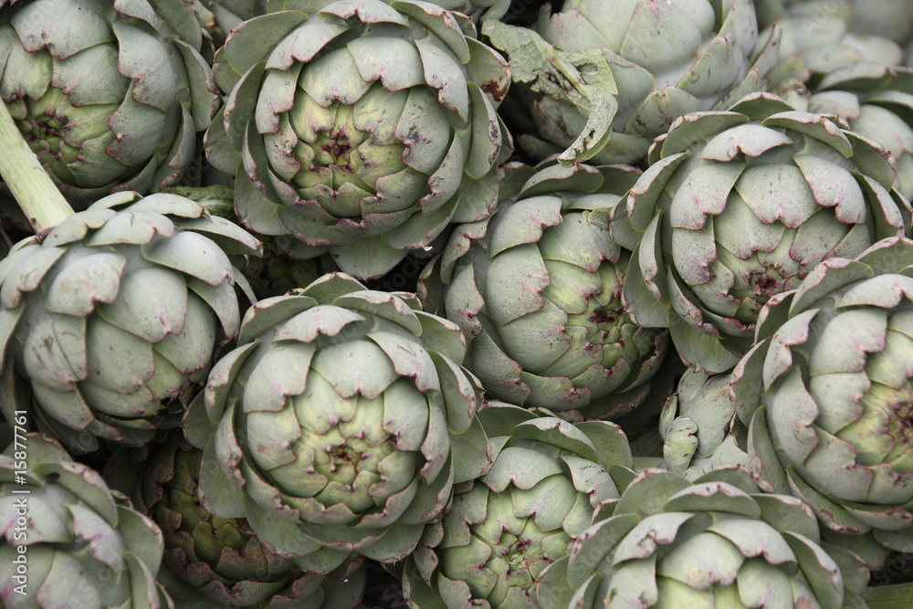 Fototapeta premium artichauts