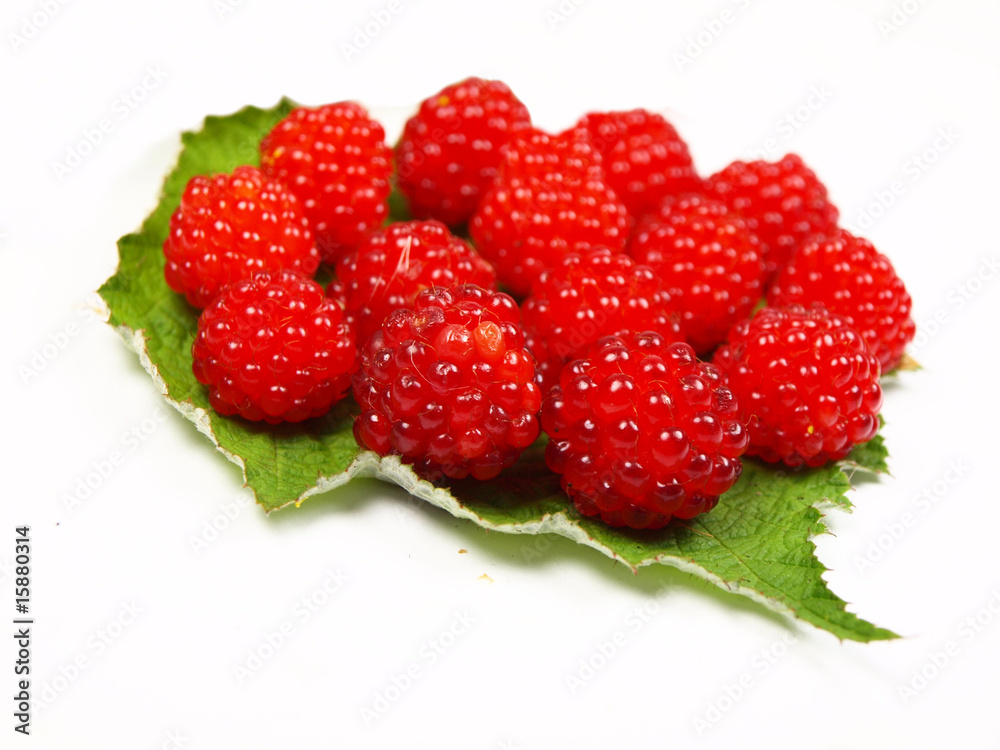 Raspberries on a leaf on a white background Raspberries on a leaf on a white background