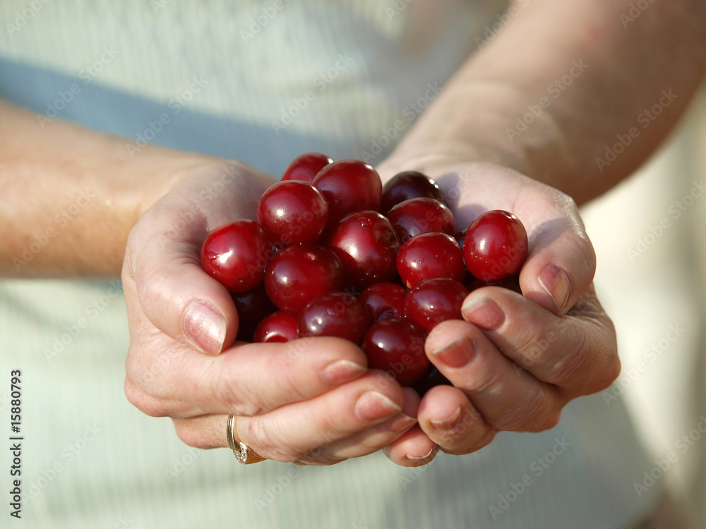 Cherry Cherry