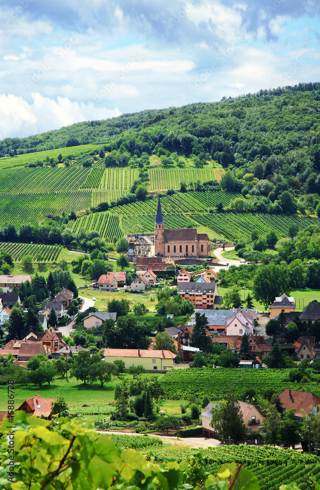 Vineyard and small village in Alsace - France