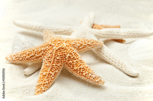 Soft Beach Sand With A Starfish