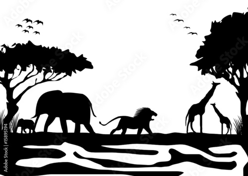 Tiere in Afrika