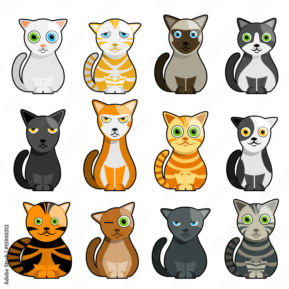 cartoon cat character set cartoon cat character set