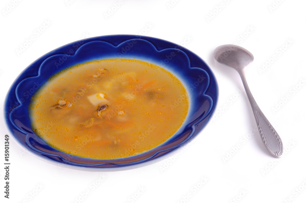 soup in a dish soup in a dish