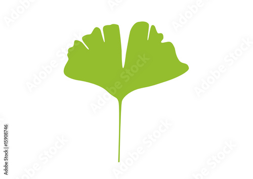 Gingko abstrakt