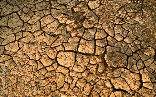 dried up cracked earth