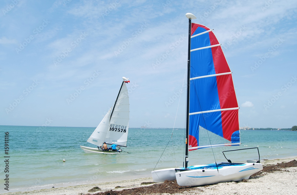 Naklejka premium Catamarans on Biscayne Bay